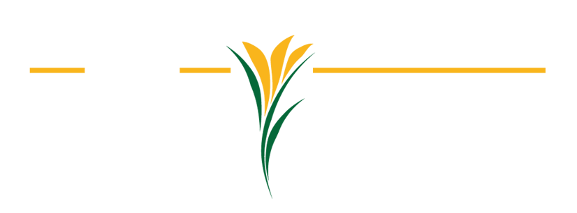 New Image Design Landscape Logo